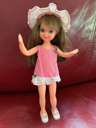 Vintage Brunette Tutti Doll,  Barbie Sister Pink Gingham Outfit,  Hat,  Shoes Great