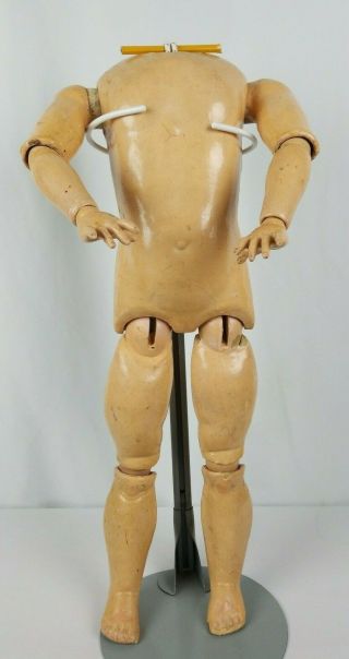 Antique German Composition Jointed Doll Body For A Bisque Socket Head 23 Inches