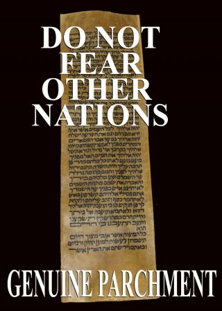 Torah Scroll Bible Vellum Manuscript Leaf 350 Yrs Tunisia Deuteronomy 7:13 - 8:1