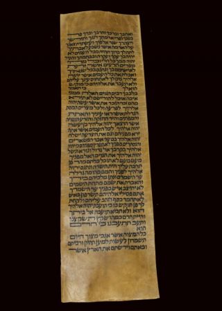 TORAH SCROLL BIBLE VELLUM MANUSCRIPT LEAF 350 YRS TUNISIA Deuteronomy 7:13 - 8:1 2