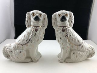 Antique White With Gilt Matching Paired Set of Staffordshire Spaniel Dog Figures 2