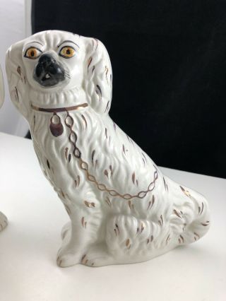 Antique White With Gilt Matching Paired Set of Staffordshire Spaniel Dog Figures 6