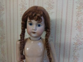 Antique 13 - 14 " Gorgeous Mohair Doll Wig For Antique Bisque Doll