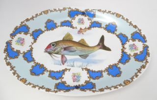 Vtg Antique Kronester Bavaria 12 ¾” X 9” Oval Fish Platter Plate / Wall Hanger