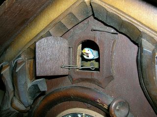 Antique Vintage Germany Black Forrest Cuckoo Clock Rabbit Bird Musket Carved Woo 6