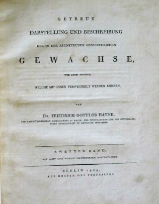 Hayne,  Getreue Darstellung,  Dandelion,  Leontodon Taraxacum,  handcol.  Engrav.  1809 2