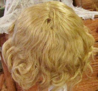 G233 Antique 12 - 13 " Mohair Doll Wig For Antique Bisque Doll
