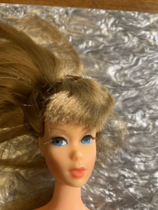 Vintage Barbie TNT - Dark Silver Brunette Hair Gorgeous Face 2