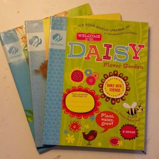 3 Daisy Girl Scout Journey Books Its Your World,  Its Your Story,  Its Your Planet