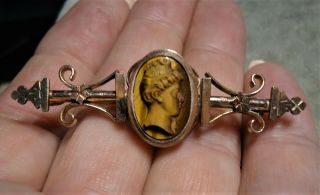 Vintage Antique Gold Filled Or Plated Carved Tigers Eye Cameo Brooch Pin