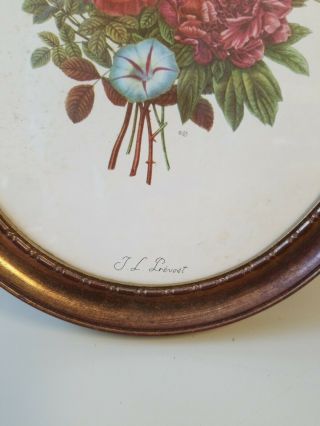 TWO Vintage Signed JL Prevost Botanical Flower Prints Painted Oval Frame 4