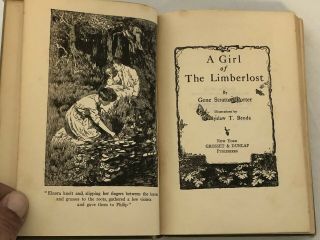 1909 A GIRL OF THE LIMBERLOST by Porter Decorative Hardcover Antique Book 3