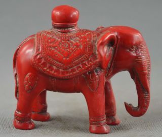 China Collectable Hand Old Coral Carve Elephant Auspicious Souvenir Snuff Bottle