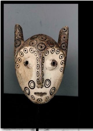 Outstanding Tribal Lega Mask - - Congo