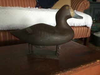 Vintage 3/4 Size Bluebill Hen Duck Decoy Upper Bay Jobes