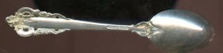 Wallace Grande Baroque Sterling Silver Tea Spoon 6 1/8 inches No monogram 2