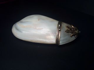 Antique Natural Mother Pearl/abalone Shell Clutch/coin Purse Exquisite Unique