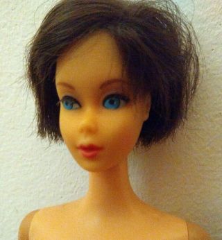 Vintage Barbie Hair Fair Brunette Tnt Twist 