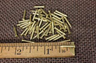 1/2” Solid Brass Brads Escutcheon Pins 50 Nails Large Head 15 Gauge Usa Made