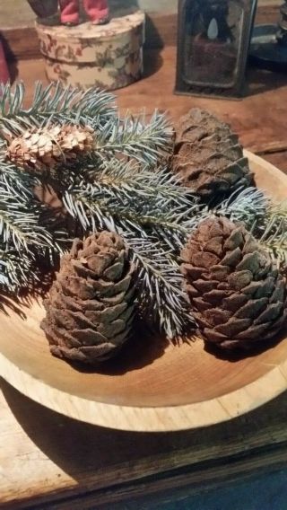 Eight Blackened Wax Pine Cone Two Sizes Judy Condon Nr Aafa