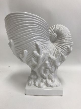 Large Coral And Nautilus Shell Vase