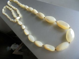Antique 1910 - 20 Unbleached Natural Mother Of Pearl Long Olive Bead Necklace