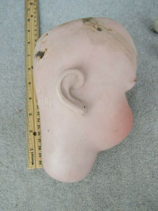 Lg Antique German Simon & Halbig bisque Doll head for repair Head Only w damage 8