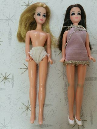 Vintage DAWN,  ANGIE,  and JESSICA dolls,  Clothes,  Accessories,  and Case 2