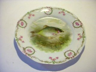 Antique Z.  S.  & Co.  - Bavaria Hand Painted Porcelain Fish Plate.  Germany 1890.
