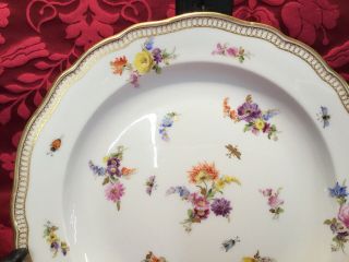 1 Of 12 Antique Meissen Flowers Insects Gilt Rim 8.  5” Salad Plate Crossed Swords