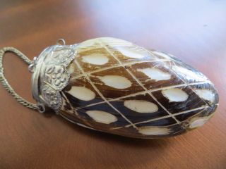 1900s Antique French Mother Of Pearl Shell Box Thimble Etui Needle Case Pendant