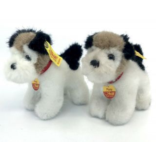 Steiff Foxy Fox Terrier Dog X 2 Plush 11cm 4in Id Button Tags 1970s Doll Display
