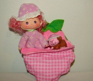 Vintage Strawberry Shortcake Raspberry Tart Sweet Sleeper Doll And Pet