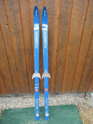 Vintage 55 " Long Skis With Blue Finish Has Bindings Interesting Old Set