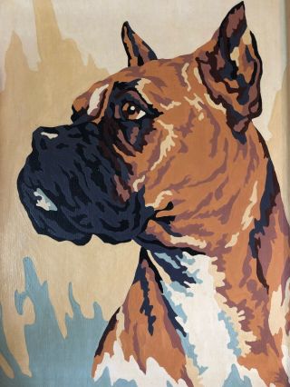 Vintage Boxer Dog Paint By Numbers Pair Portrait Paintings Great Colors Framed