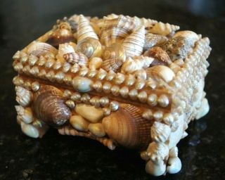 Vintage Sea Shell Art Trinket Jewelry Box Antique Victorian Maritime Sailor