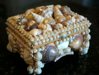 Vintage Sea Shell Art Trinket Jewelry Box Antique Victorian Maritime Sailor 2