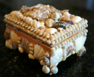 Vintage Sea Shell Art Trinket Jewelry Box Antique Victorian Maritime Sailor 3