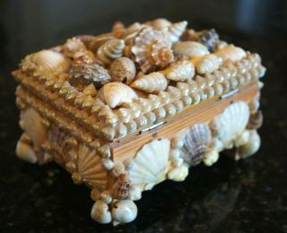 Vintage Sea Shell Art Trinket Jewelry Box Antique Victorian Maritime Sailor 4