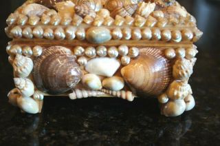 Vintage Sea Shell Art Trinket Jewelry Box Antique Victorian Maritime Sailor 7