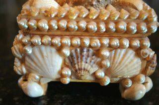 Vintage Sea Shell Art Trinket Jewelry Box Antique Victorian Maritime Sailor 8