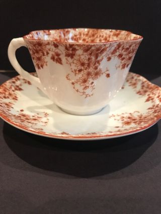 Vintage Shelley Dainty Brown Tea Cup & Saucer