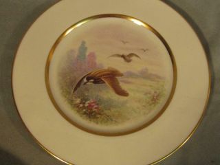 Vintage Lenox Hand Painted Porcelain Bird Plate " Quail " 11 Artist Nosek