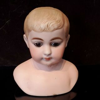 Antique German Bisque Shoulder Head Closed Mouth Molded Hair Doll Head 30/b2