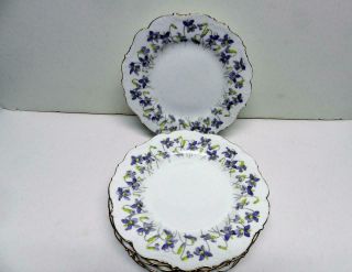 Brown Westhead Moore&co.  Set Of 8plates Sz - 7 3/4 " Pattern - Violets Gilman Collamore