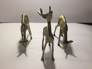 Vintage Brass Deer Statues - Buck,  Stag,  & 2 Doe Figurines