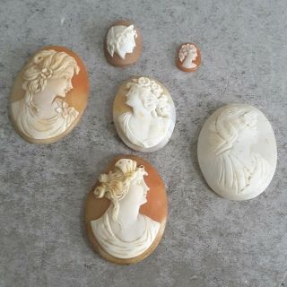 6 Antique & Vintage Carved Cameo Shells.   C.  1880 - 1940.