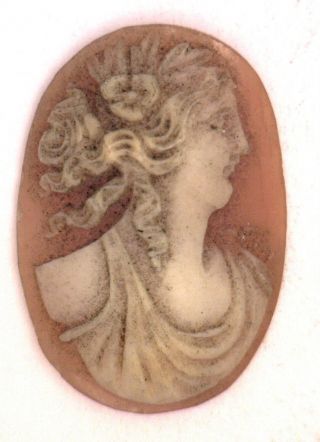Nos Antique Oval Carved Shell Detailed Cameo Stone Piece 24.  5 Mm X 17 Mm Zz106