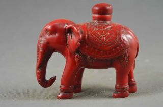 Ancient China Collectable Handwork Coral Carve Elephant Lucky Tibet Snuff Bottle