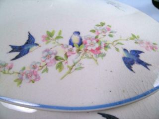 Vtg Antique Blue Bird Pattern Covered Dish Tureen Tst Iona China Taylor Smith